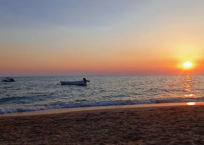 House نيا بوتيدايا