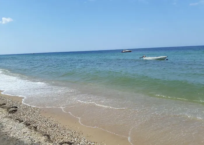 House نيا بوتيدايا